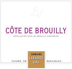2019 Côte de Brouilly, Domaine Lafarge Vial